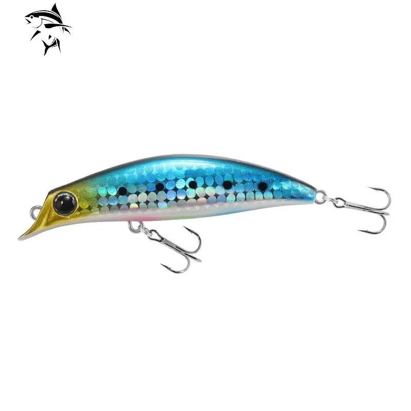 일본 브랜드 디자인 하드 미끼 바닷물 낚시 미끼, 도미 - Fishing Equipment Brands 리뷰 및 가격