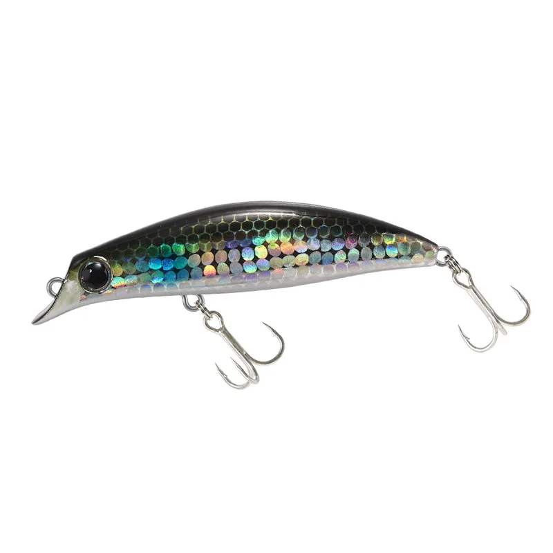 일본 브랜드 디자인 하드 미끼 바닷물 낚시 미끼, 도미 - Fishing Equipment Brands 리뷰 및 가격