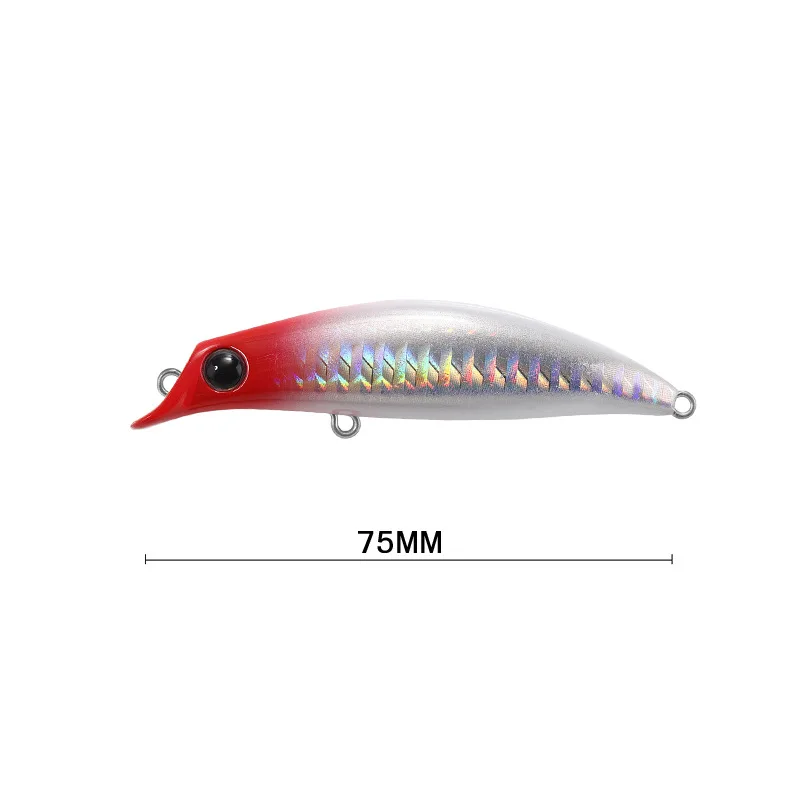 일본 브랜드 디자인 하드 미끼 바닷물 낚시 미끼, 도미 - Fishing Equipment Brands 리뷰 및 가격
